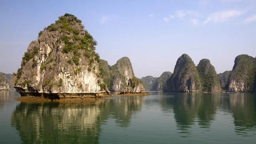 高质量绿色